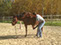 Mobiliser l'épaule du cheval. Stage à Saint Lormel