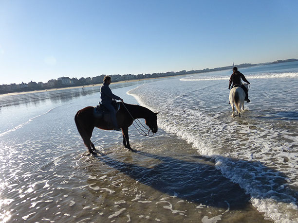 cheval plage de saint malo cheval plage de saint malo