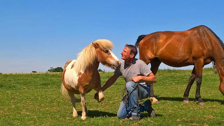 Vasvo Cheval Vasco; encore poulain