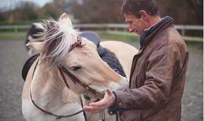 Vasvo Cheval Vasco; encore poulain