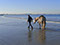 Travail à pied cheval