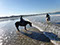 Cheval à la plage saint Malo