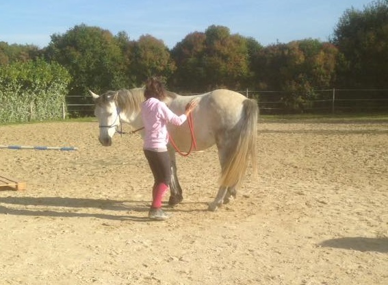 Jument détendue. Stage à Saint Lormel