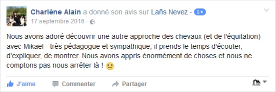 pédagogie cheval, pedagogie chevaux