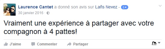 Monitrice compétente Ille et vilaine