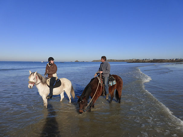 Cheval confiant à la mer. Saint Malo