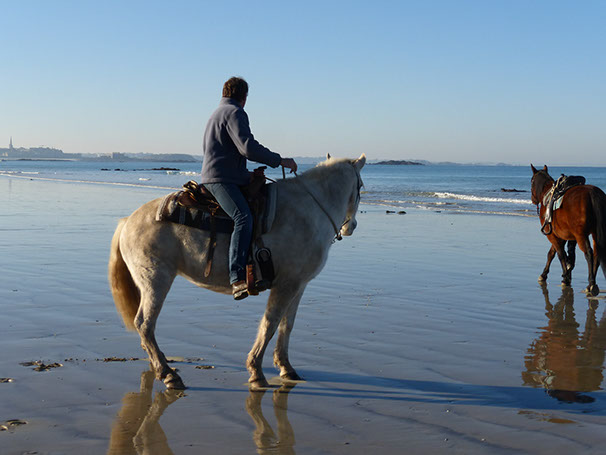 cours cheval à la mer. Saint Malo